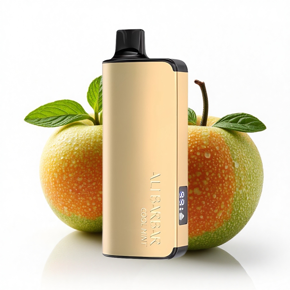 Alibarbar Ingot 9000 Puffs 22ml E-Liquid Cool Mint LED Display